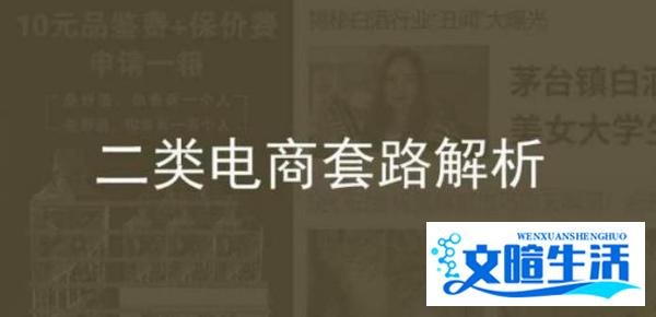 什么是二类电商和一类电商，二类电商有哪些坑？终于有人说了实话
