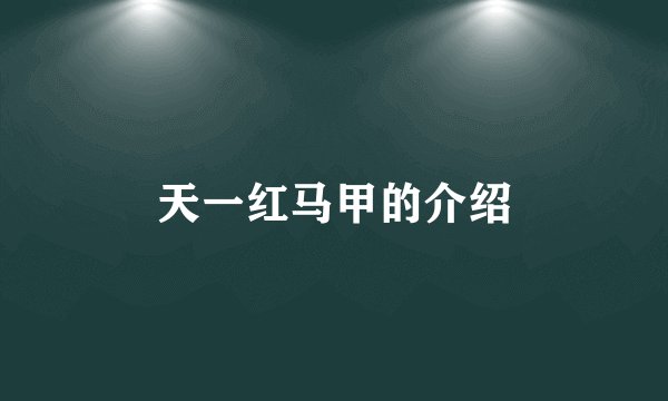 天一红马甲的介绍