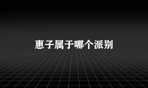 惠子属于哪个派别