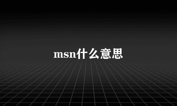 msn什么意思