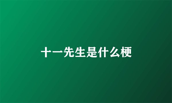 十一先生是什么梗