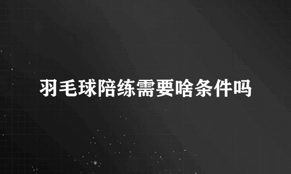 羽毛球陪练需要啥条件吗