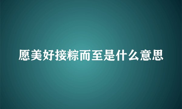 愿美好接粽而至是什么意思
