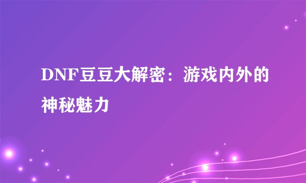 DNF豆豆大解密：游戏内外的神秘魅力