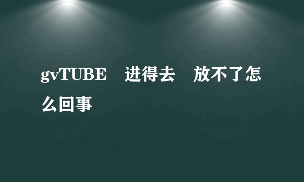 gvTUBE 进得去 放不了怎么回事