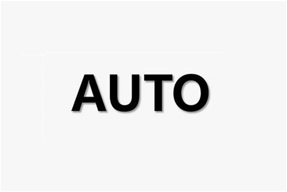 auto是什么意思?