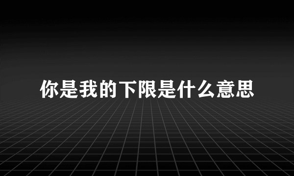 你是我的下限是什么意思