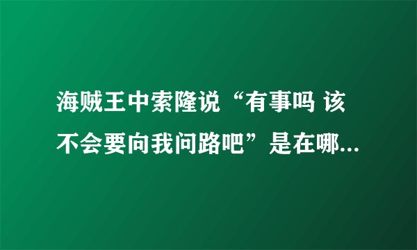 海贼王中索隆说“有事吗 该不会要向我问路吧”是在哪一集？拜托了各位 谢谢