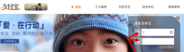 支付宝十年账单日记怎么查