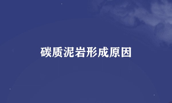 碳质泥岩形成原因