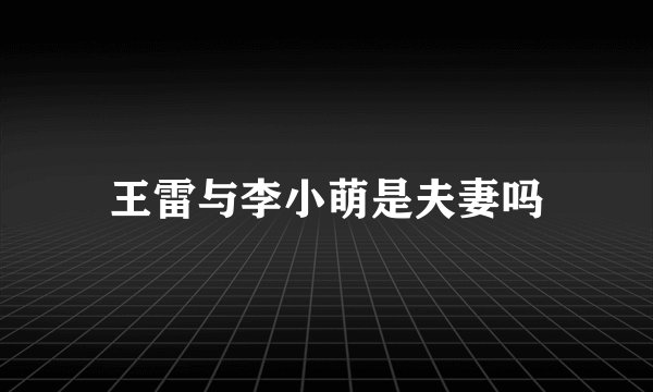 王雷与李小萌是夫妻吗