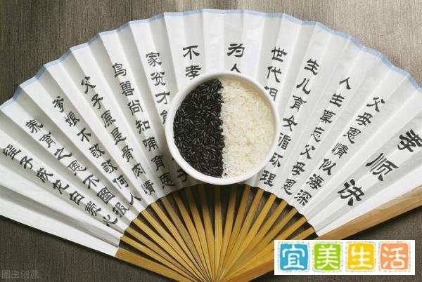 喊出狗比人值钱话的人,孝道被狗夺走了吗?这帽子扣给狗冤不冤