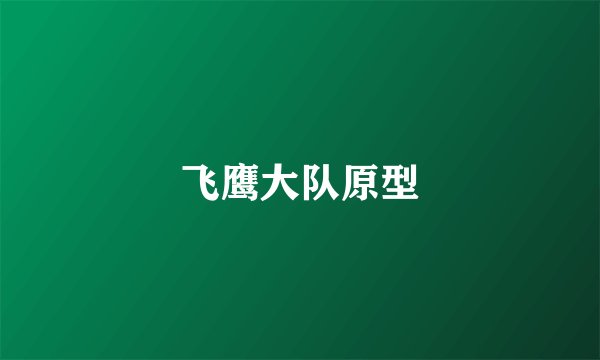飞鹰大队原型