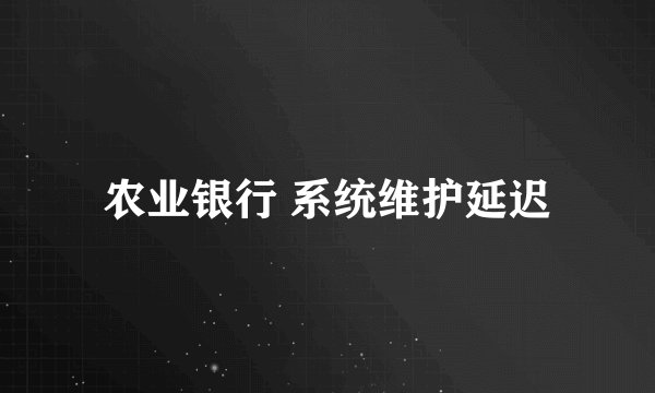 农业银行 系统维护延迟