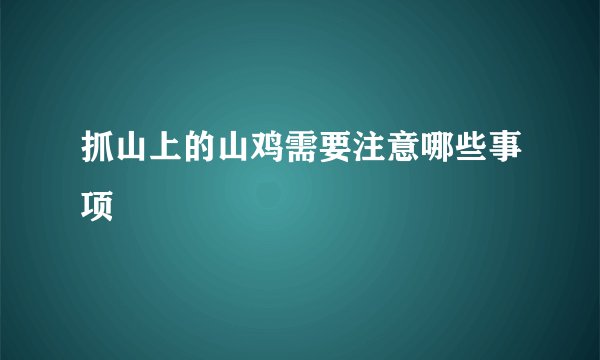 抓山上的山鸡需要注意哪些事项