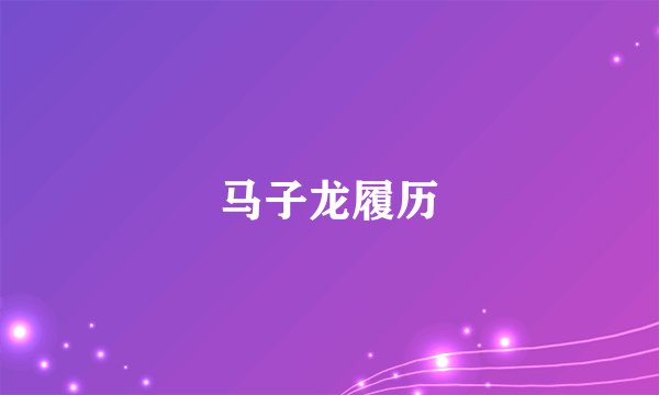 马子龙履历