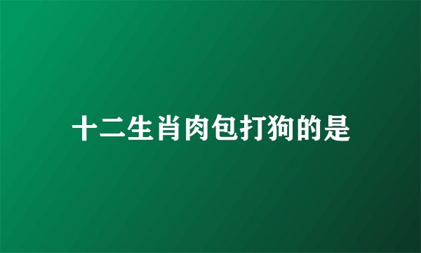 十二生肖肉包打狗的是