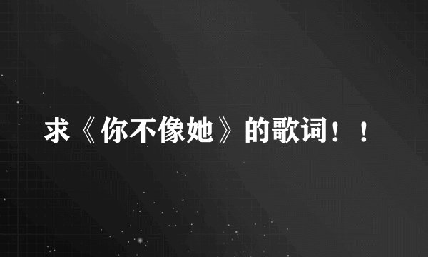 求《你不像她》的歌词！！