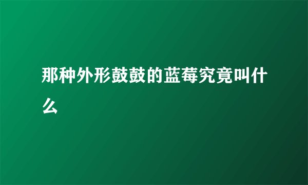 那种外形鼓鼓的蓝莓究竟叫什么