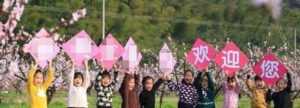桃园怎么赚钱