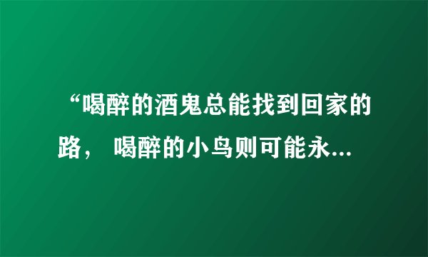 “喝醉的酒鬼总能找到回家的路， 喝醉的小鸟则可能永远也回不了家”具体是什么定理？