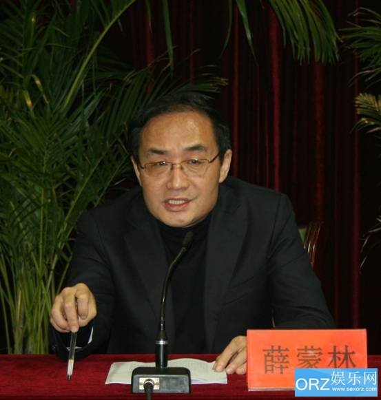 薛蒙林的人物履历