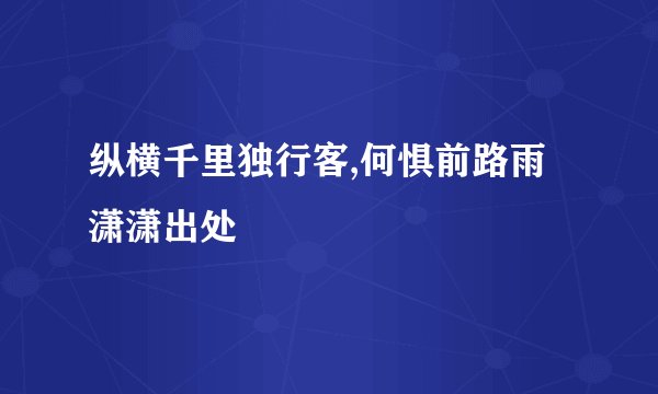 纵横千里独行客,何惧前路雨潇潇出处