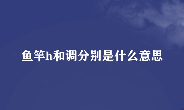 鱼竿h和调分别是什么意思