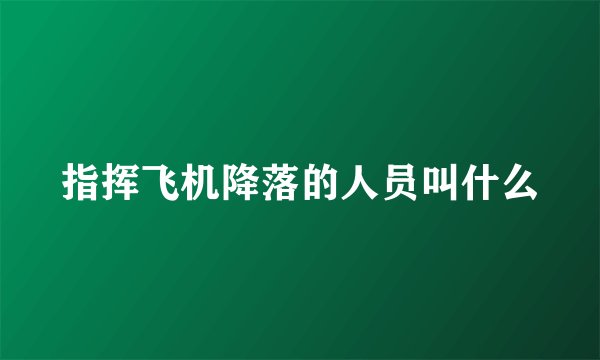 指挥飞机降落的人员叫什么