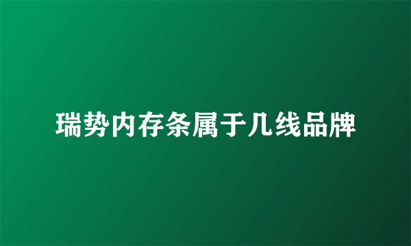 瑞势内存条属于几线品牌