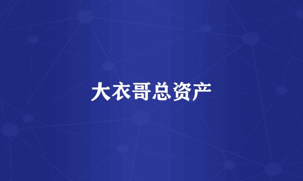 大衣哥总资产