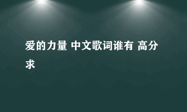 爱的力量 中文歌词谁有 高分求