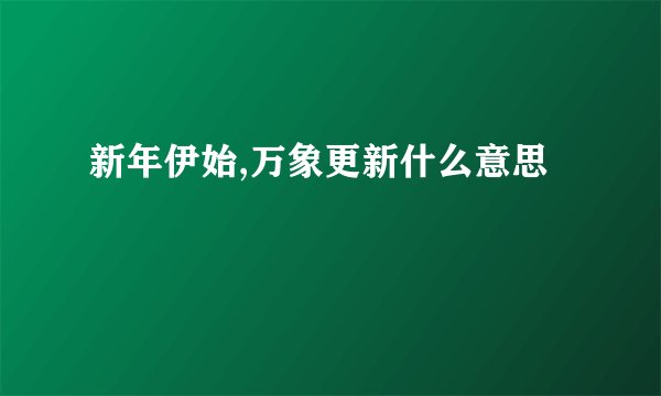新年伊始,万象更新什么意思