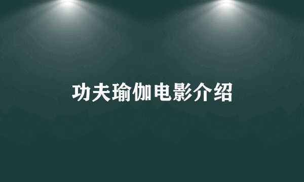功夫瑜伽电影介绍