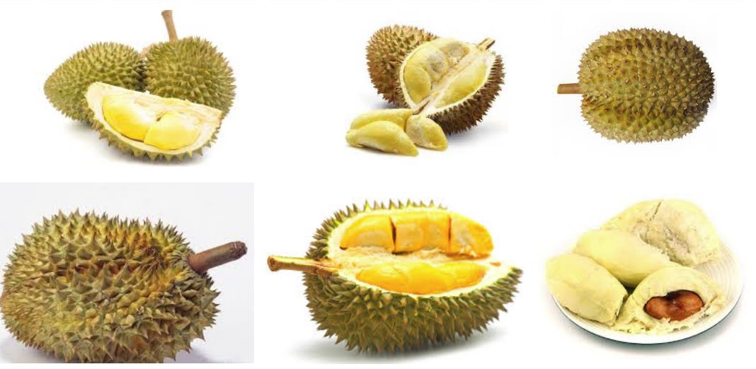 这是什么东西