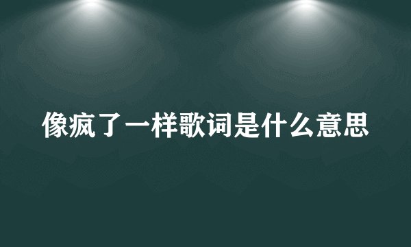 像疯了一样歌词是什么意思