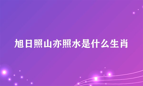 旭日照山亦照水是什么生肖