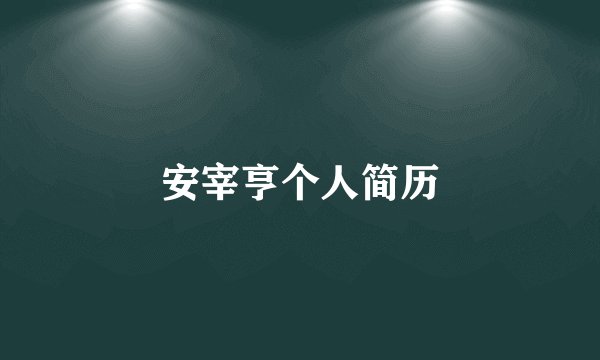 安宰亨个人简历