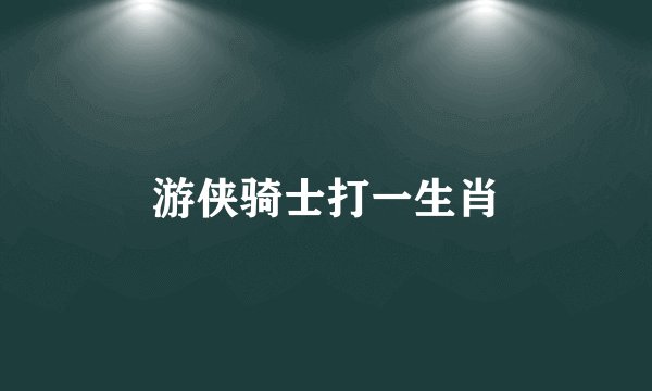 游侠骑士打一生肖