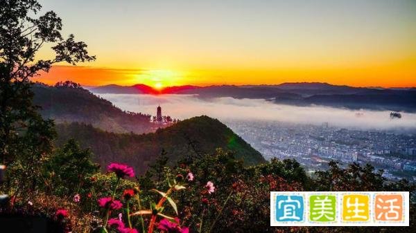 记忆中有一座宫殿（诗歌）