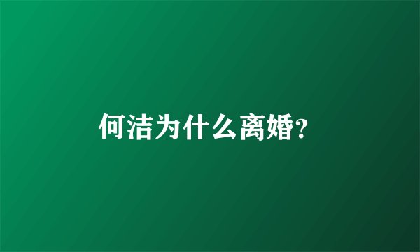 何洁为什么离婚？