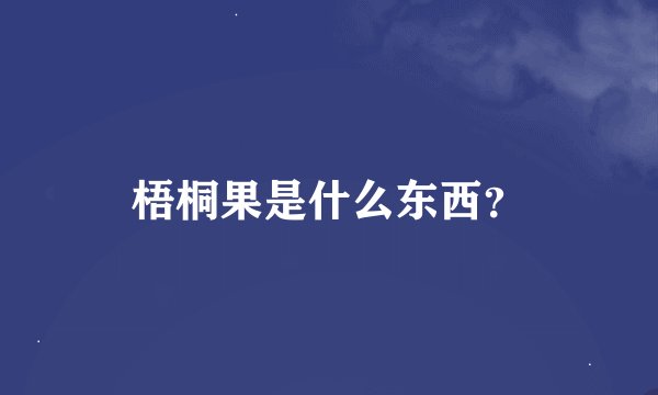 梧桐果是什么东西？