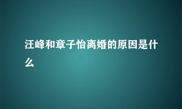 汪峰和章子怡离婚的原因是什么
