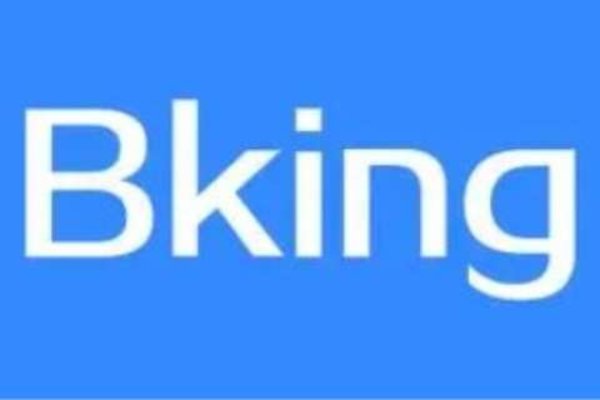 什么是bking?