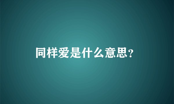 同样爱是什么意思?