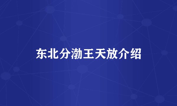 东北分渤王天放介绍