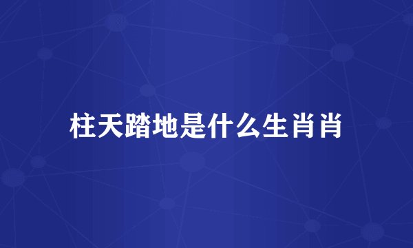 柱天踏地是什么生肖肖