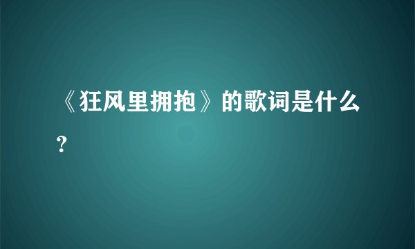 《狂风里拥抱》的歌词是什么？