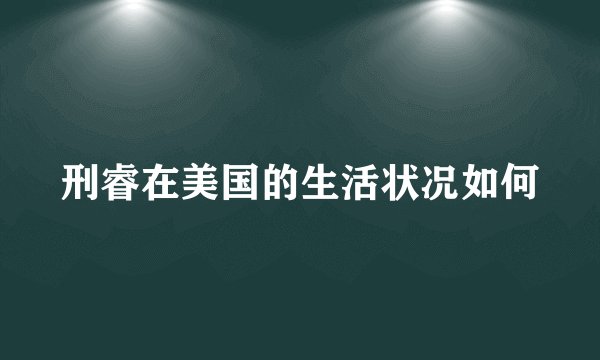刑睿在美国的生活状况如何