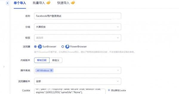 仿牌独立站广告代理之922s5 Proxy工具